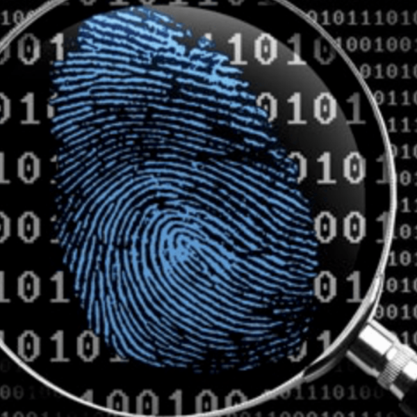 Investigations